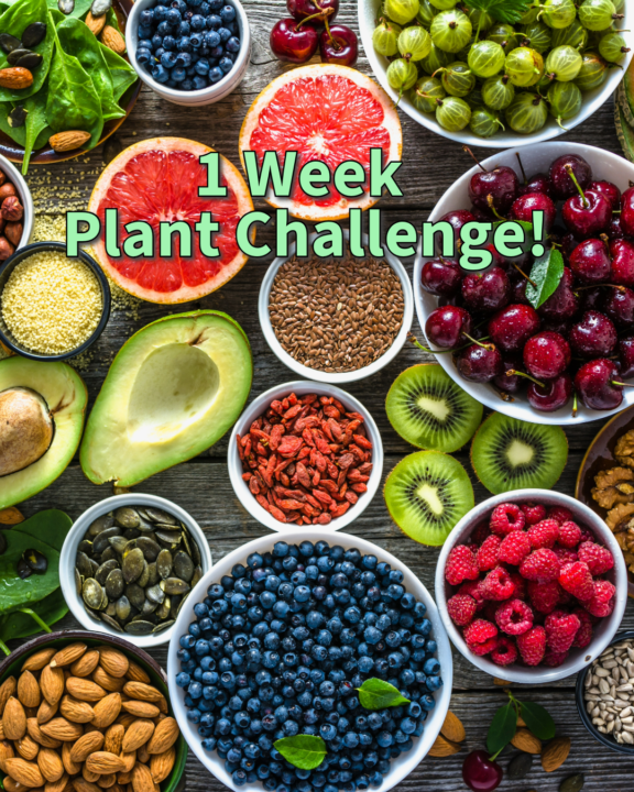 1 Week Challenge!