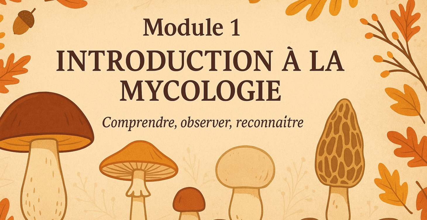 Module 1: Introduction à la mycologie