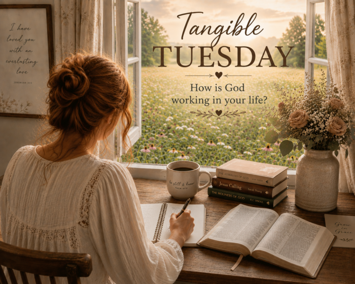 🌿 Tangible Tuesday