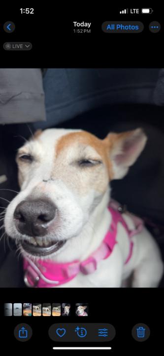 Isabella Rozo Clavijo