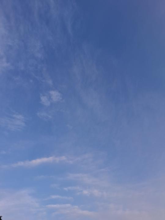 This morning 