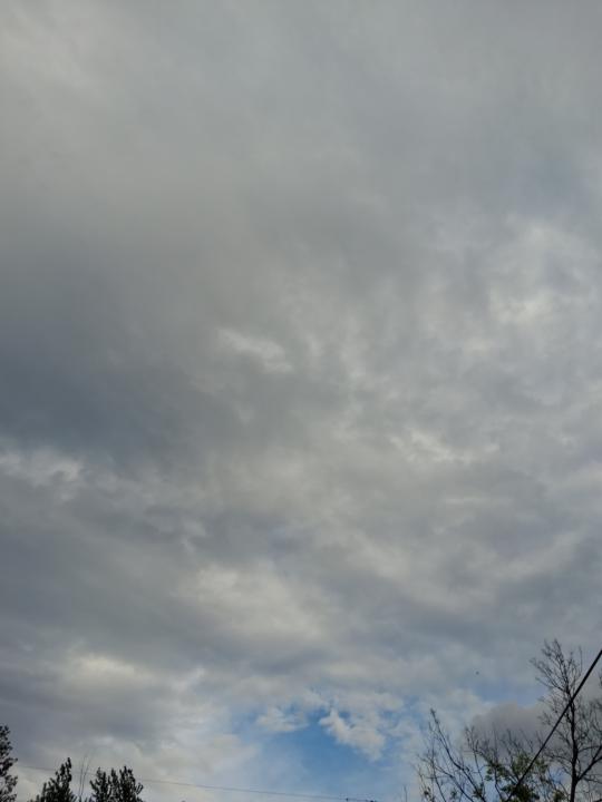 Pictures I took today