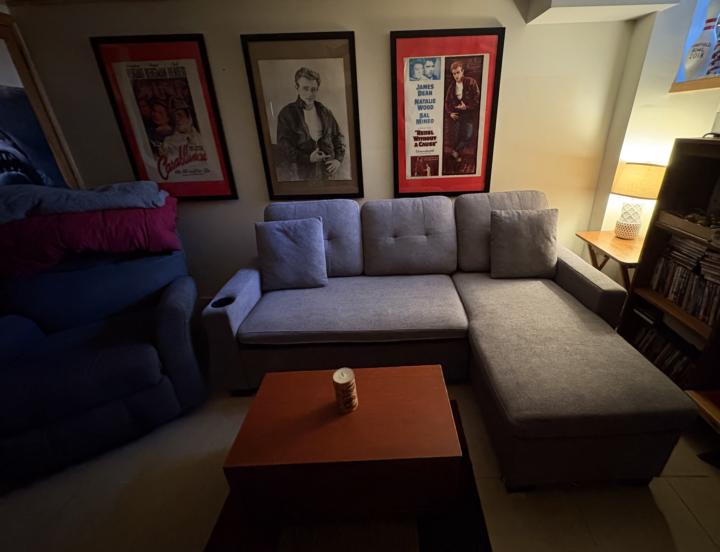 Sleeper Sofa for any visitors to da Bronx 