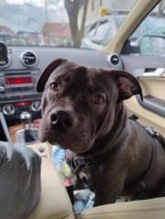 Alexette Gabrielle Darc