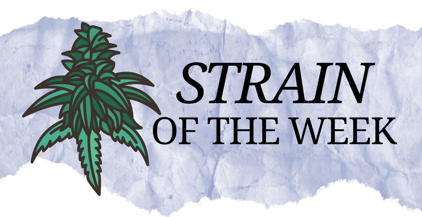 Strain of the Week