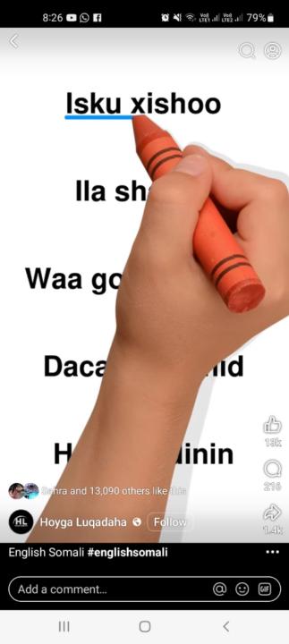 Hafsa Abdullahi Mohamud