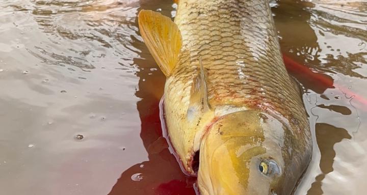 Fishing.co.aus 