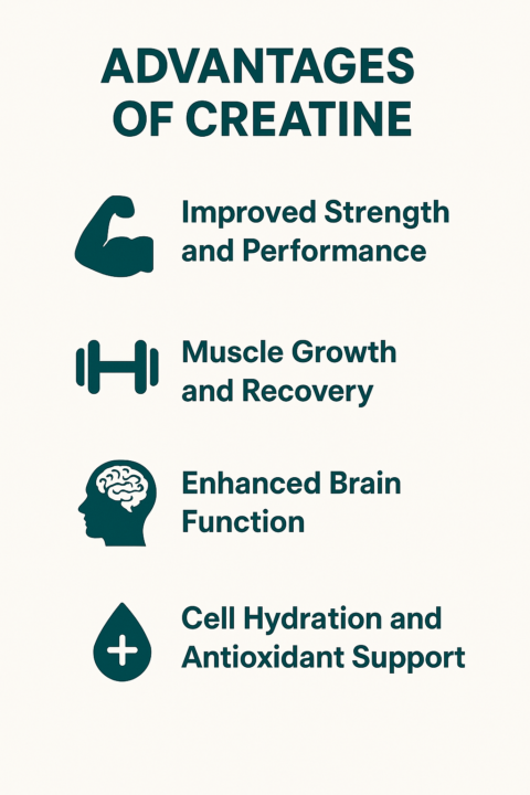 Creatine Advantages