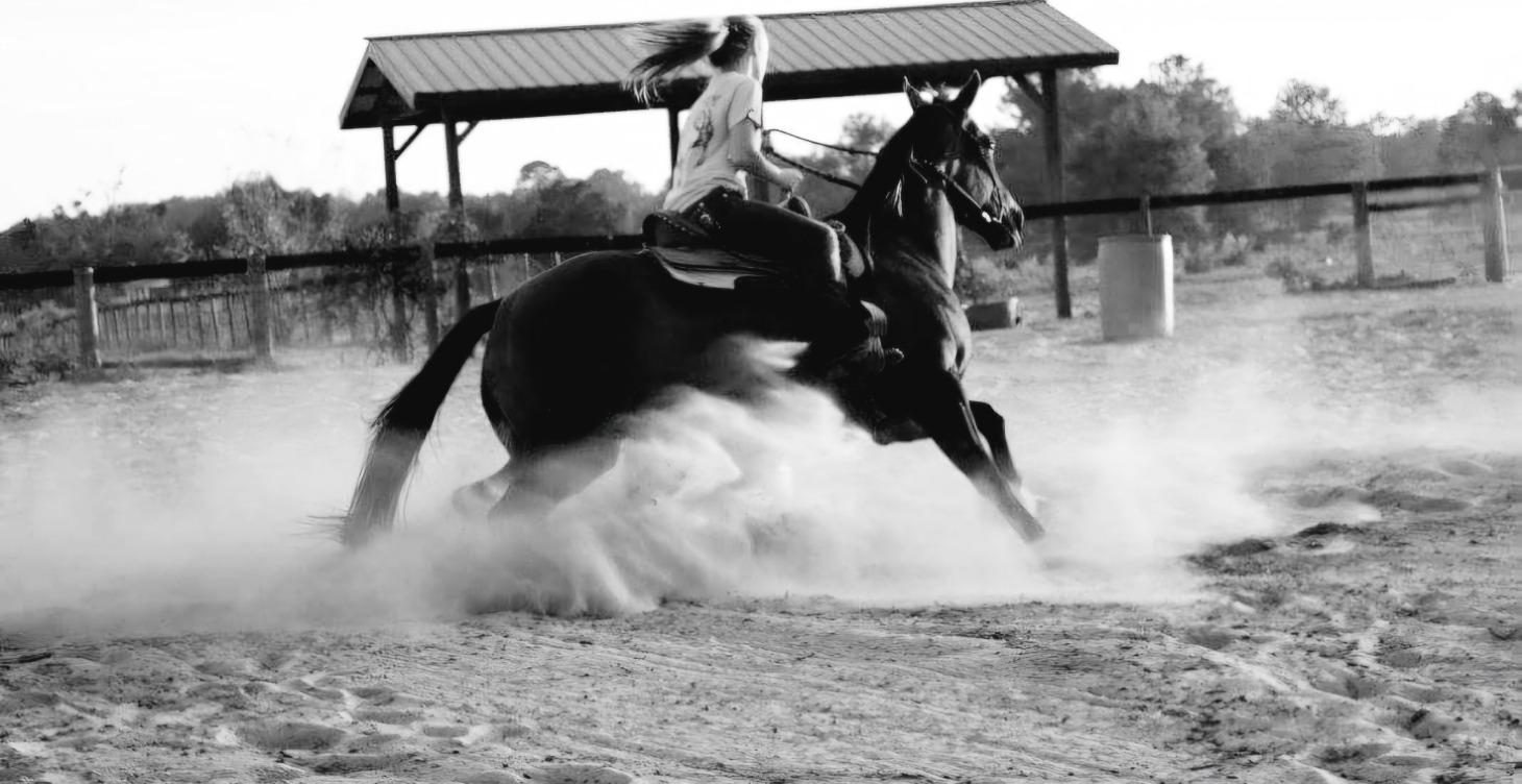 Barrel Racing Horsemanship 2.6