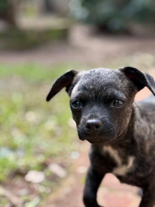 Aldana Delgado Branchi