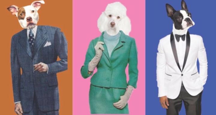 Bark&Bond Training Club