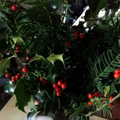 Paulina Alcantara Duran