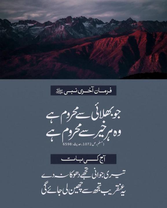 Sidra Nazeer