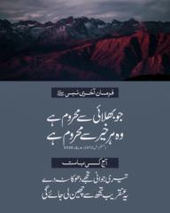 Sidra Nazeer