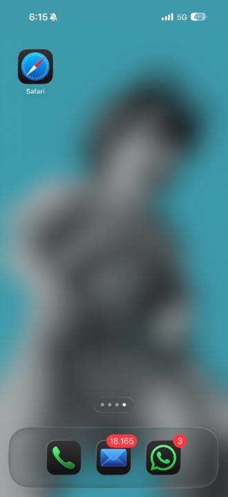 Maria Camila Carvajal