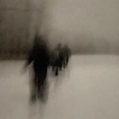Henry Bearden