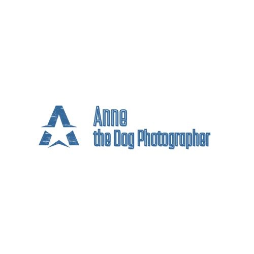 Annethedog Photographer
