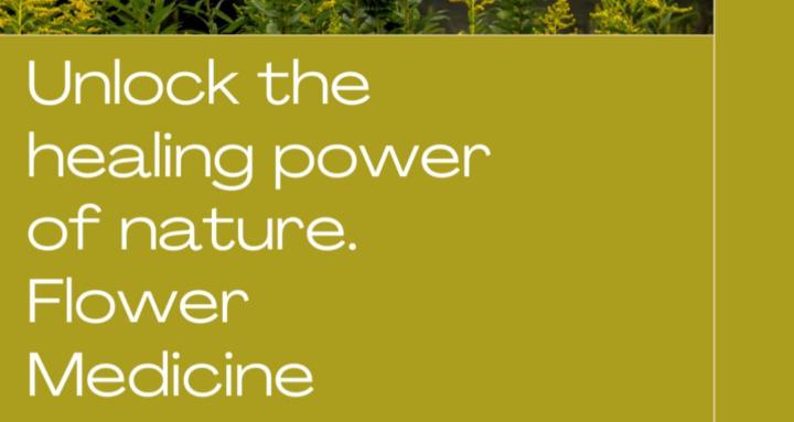  Flower Medicine Makers 