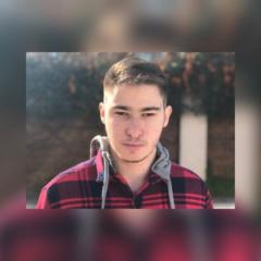 Bruno Beber