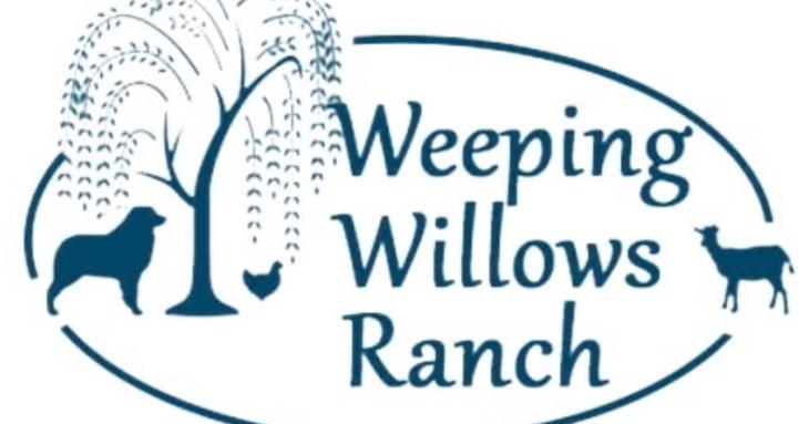 Weeping Willows Ranch