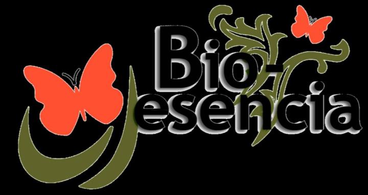 Jabonería en frío desde cero