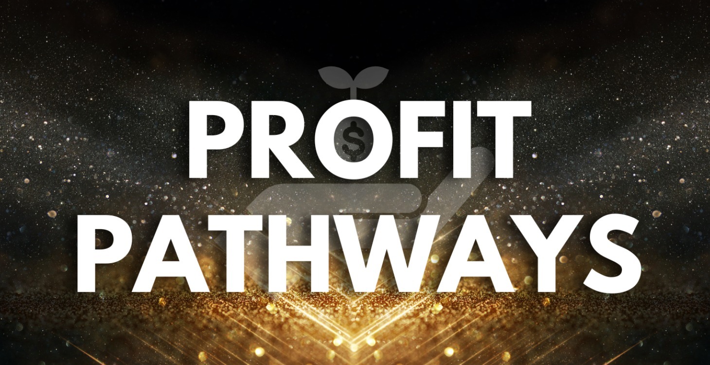 Profit Pathways (3 Hours)