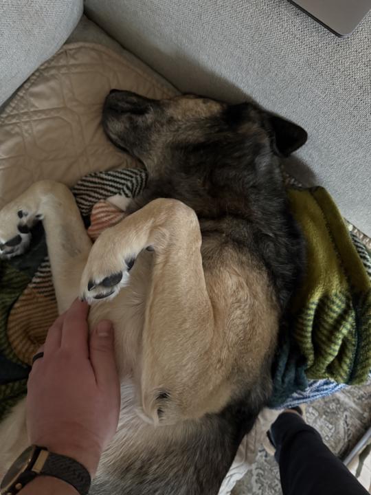 Good morning from Colby 