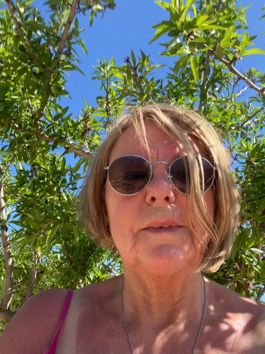 Ann haleydt Haleydt