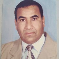 Daga Bashir