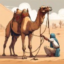 Tie Your Camel