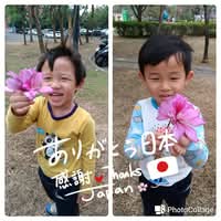 吳 純