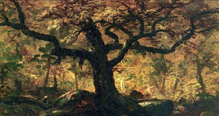 OAK