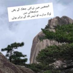 Areeba Fatima