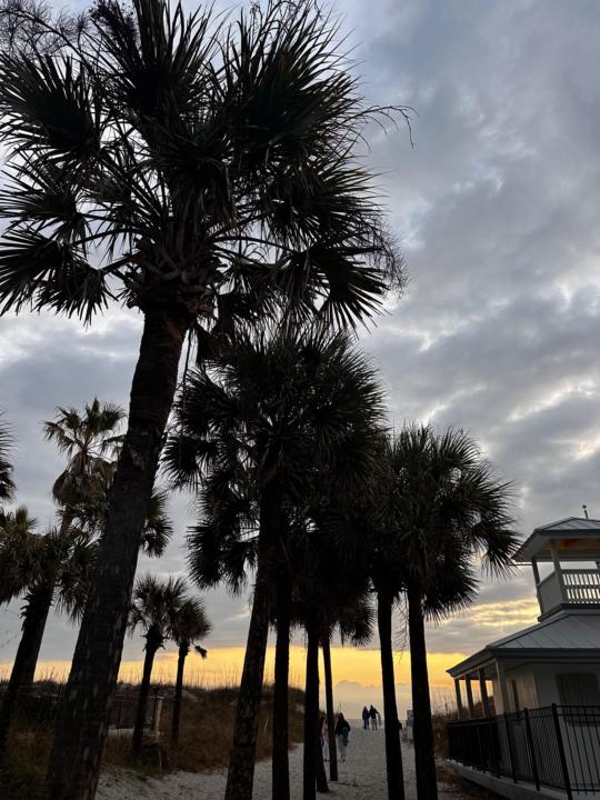 Thank you Trudy - facial care for MEN