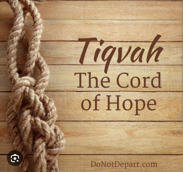 Jurie Janse van Rensburg