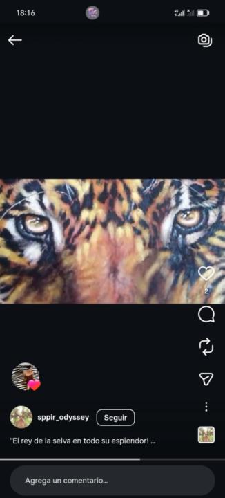 Salomón pedro Pilco