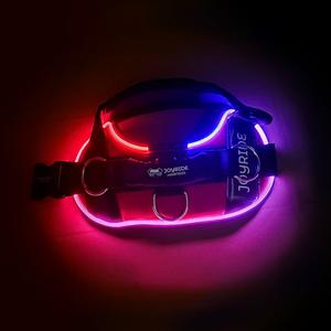 [Joyride Dogs] 2.0 LED Light Up Dog Harness [19% commission]