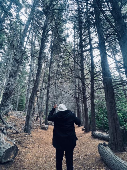 Fernando andres Correa