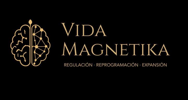 Vida Magnetika