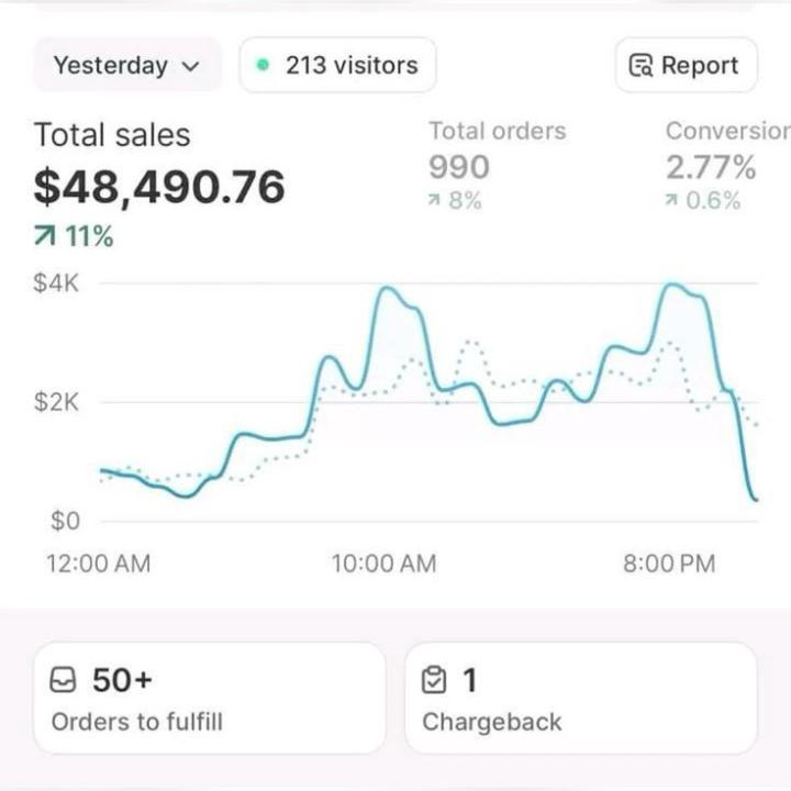  From Zero to $48k in a Day: My Unexpected Dropshipping Journey