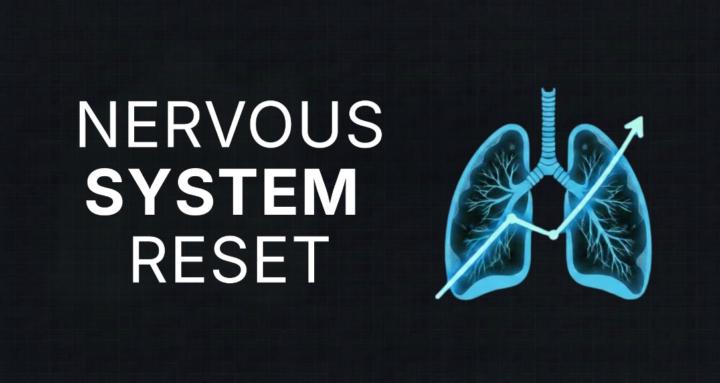 Nervous System Reset