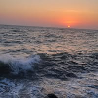 شيماء ابوطالب