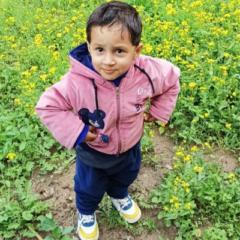 Naseeb Gadzhi