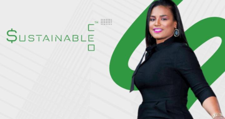 Sustainable CEO