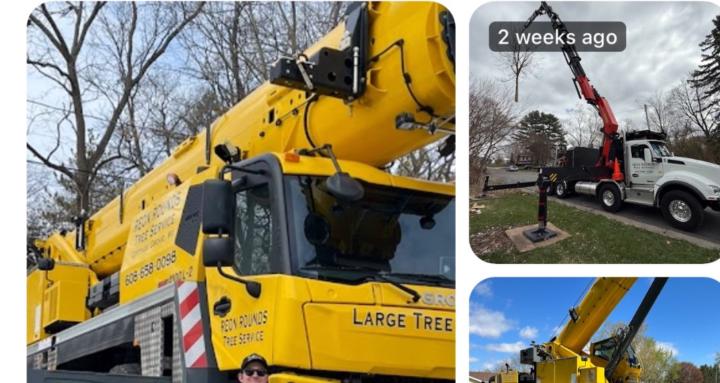 Reon Rounds Tree Service