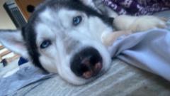 Alejandro GomezGuerrero