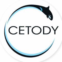 Cetody Marketing