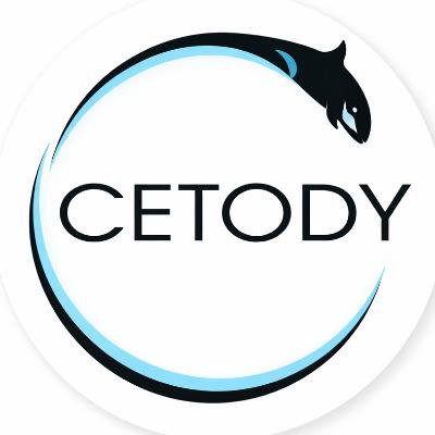 Cetody Marketing