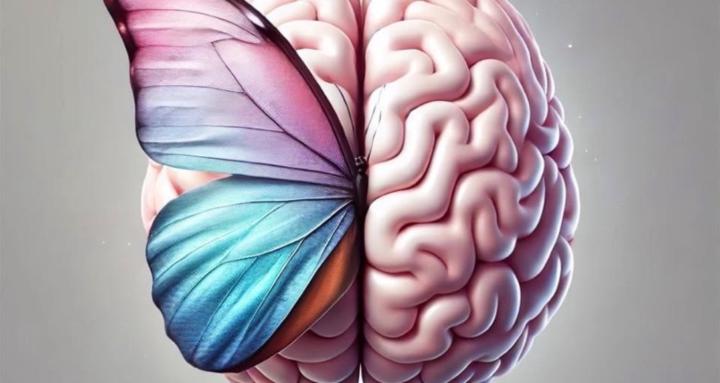 Projecto Mujer Metanoia