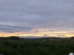 Sam Coffey